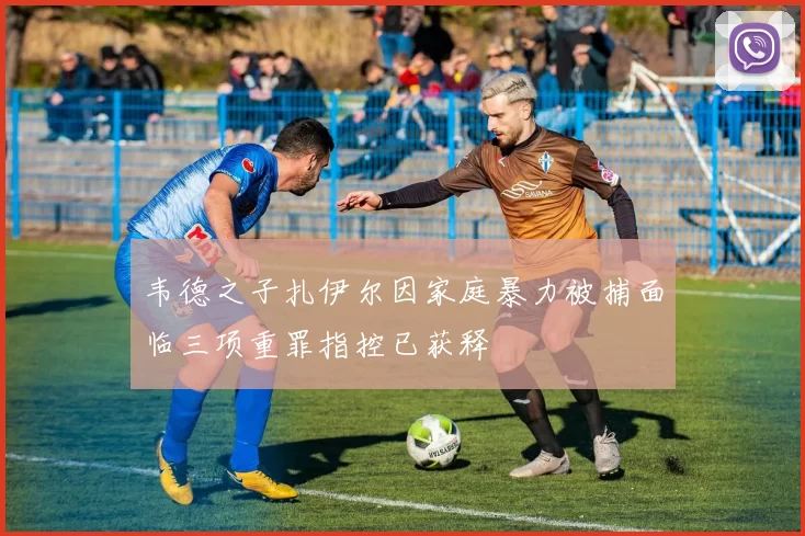 韦德之子扎伊尔因家庭暴力被捕面临三项重罪指控已获释